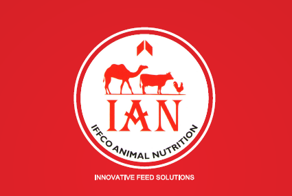 马来西亚IFFCO棕榈脂肪粉